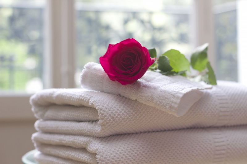 hotel-DALUIS-min_towel_rose_clean_care_salon_spa_white_bath-731641